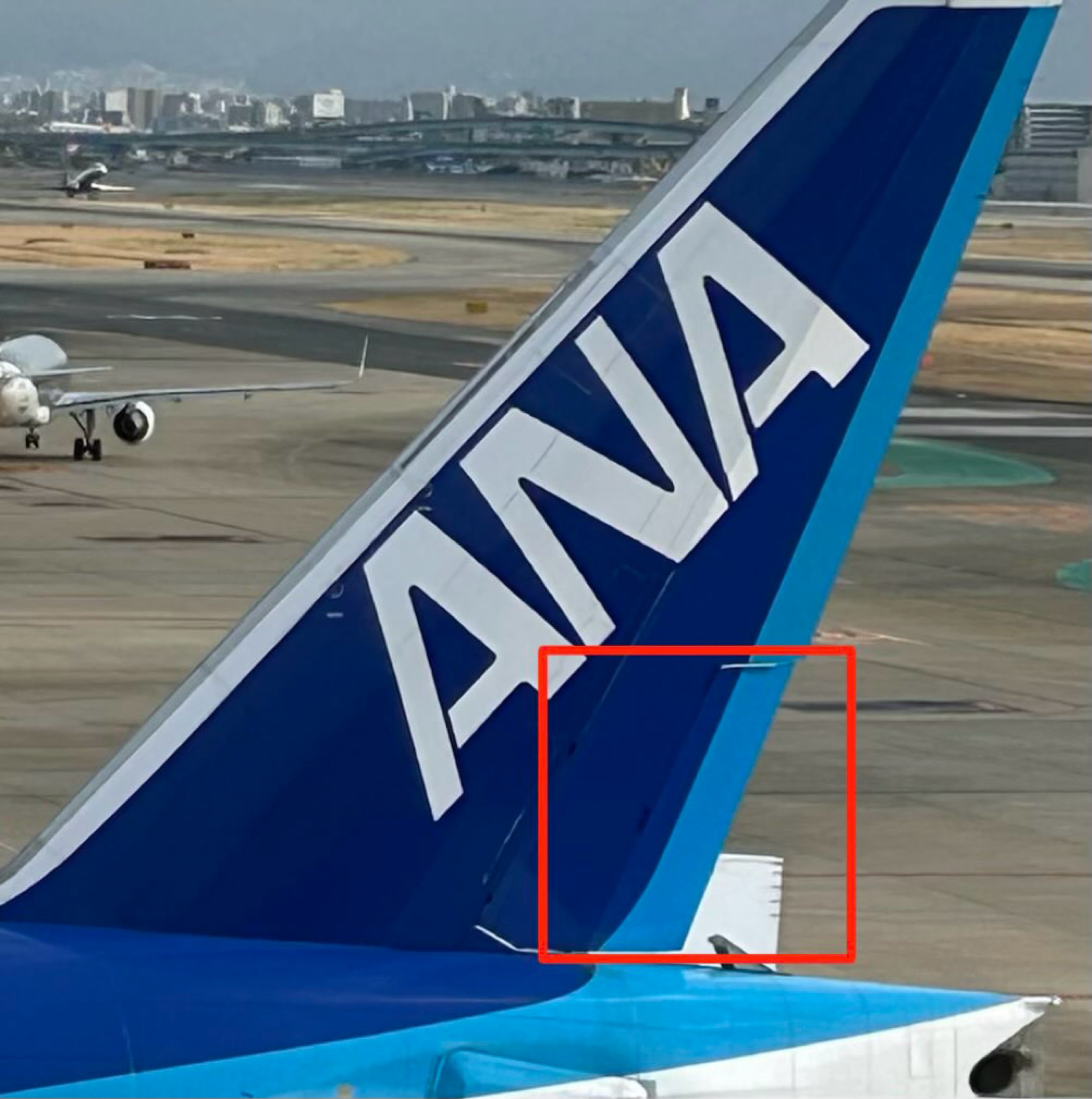 トリムの画像